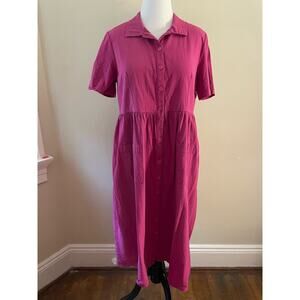Pink Appleseeds Shirt Dress Large
